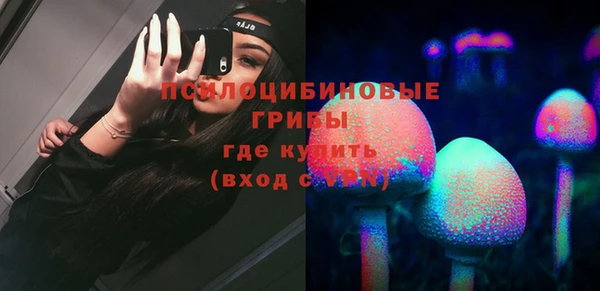 гидра Касимов