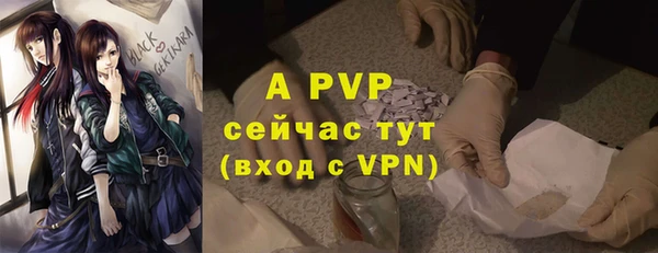 ГАЛЛЮЦИНОГЕННЫЕ ГРИБЫ Карпинск