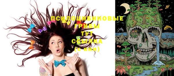 ГАЛЛЮЦИНОГЕННЫЕ ГРИБЫ Карпинск