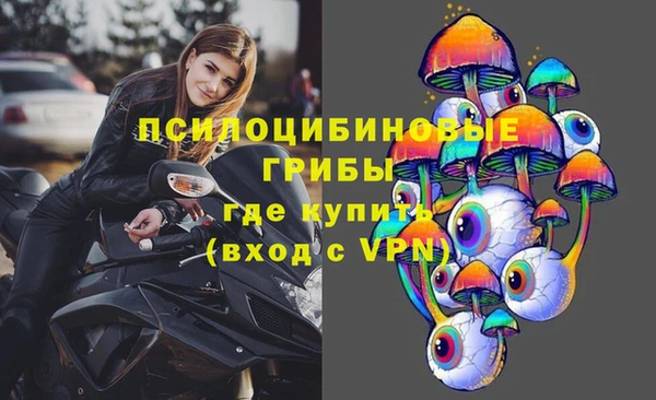 ГАЛЛЮЦИНОГЕННЫЕ ГРИБЫ Карпинск