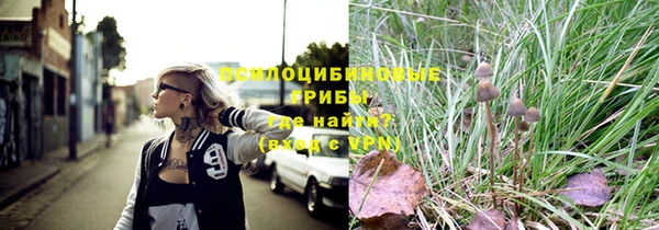 гидра Касимов