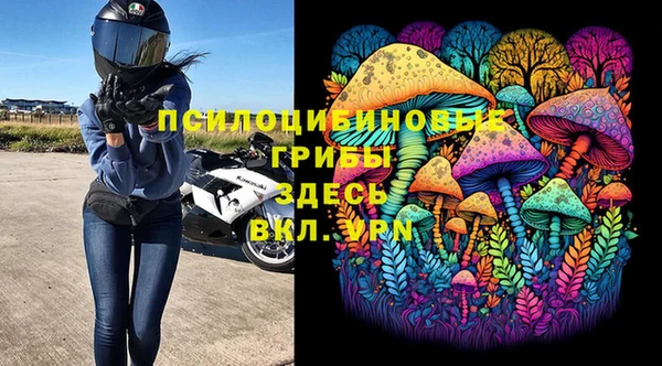 гидра Касимов