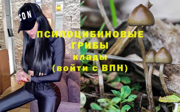 гидра Касимов