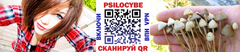 Купить закладки  Весьегонск  Псилоцибиновые грибы Psilocybine cubensis 